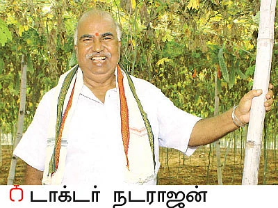 பஞ்சகவ்யா! - 17