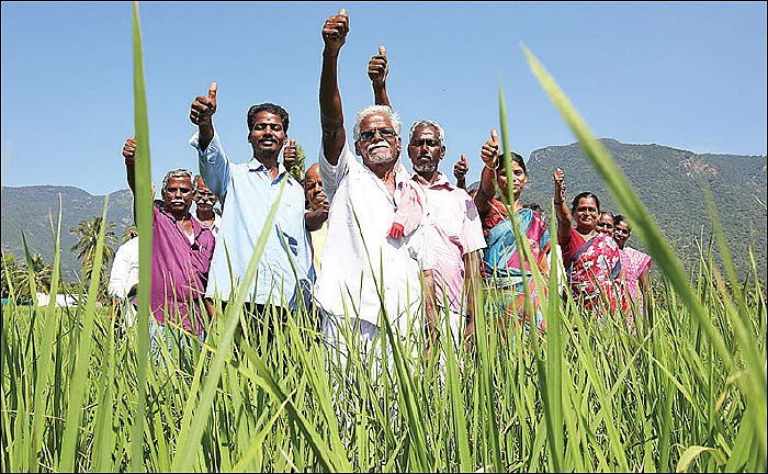 பரம்பராகட் கிரிஷி... ரூ.7 லட்சம் மானியம் - இயற்கை விவசாயத்துக்கு ஓர் இனிய திட்டம்!