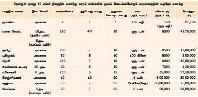 காசு... பணம்... துட்டு... மரம், மரம்!