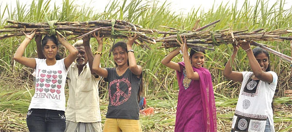 வயலுக்குத்தான் போகலாமடி !
