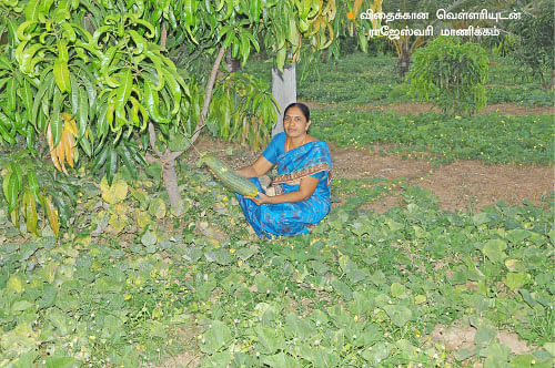ஒரு ஏக்கர்...90 நாட்கள்...ரூ70 ஆயிரம்!