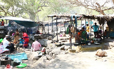 சென்னை - ஒகேனக்கல் - உடல் குளிர காவிரி அருவி... குடல் குளிர மீன் வறுவல்!