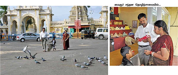 ரேபிட்டில் ராக்கெட் பயணம்!