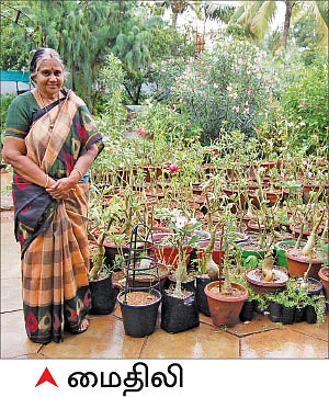 என் வீட்டுத் தோட்டத்தில்..!