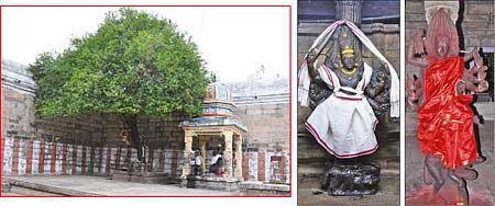 ஞானம் தருவார் ஆத்மநாதர்!