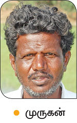 என் செல்லமே...