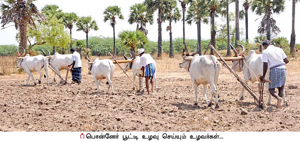 சித்திரை மாத புழுதி... பத்தரை மாற்றுத் தங்கம்!