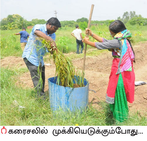 மேட்டுப்பாத்தி... குறைந்த பரப்பில் அதிக மகசூல்! - ஒருநாள் விவசாயி பருவம் - 2