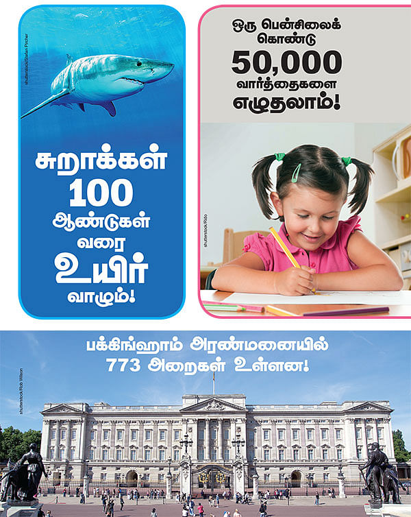 சூப்பர் 6