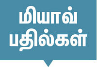 மிஸ்டர் மியாவ்