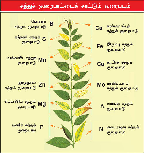 மண்ணுக்கு மரியாதை! - 17