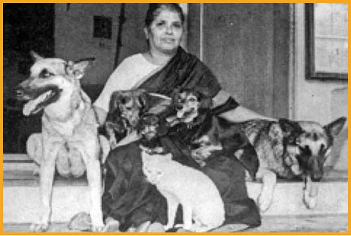 அரசியல் மணி என்னும் அணையா விளக்கு!