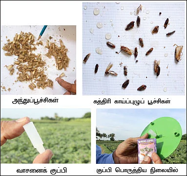 பசுமை விகடன் நடத்திய வயல்வெளிச் சோதனை!