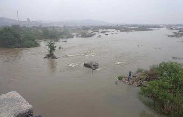 பாலை வார்த்திருக்கின்றது பாலாறு; இயற்கை அன்னைக்கு சுரந்த கருணை!