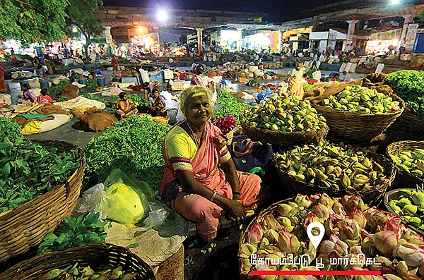நள்ளிரவின் நண்பர்கள்!