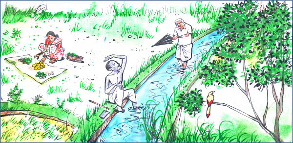 மரத்தடி மாநாடு: தாமதமாகும் மானியம்... தவிப்பில் விவசாயிகள்!