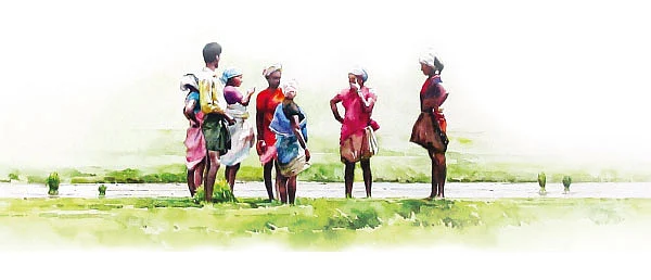 ‘பொங்கலுக்கு மாமனைக் கவனி!’