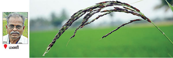 நீங்கள் கேட்டவை : இயற்கை அங்காடி நடத்த பயிற்சி அவசியமா?