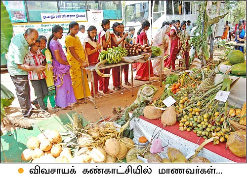 கன்னியாகுமரியில் களை கட்டிய கண்காட்சி!