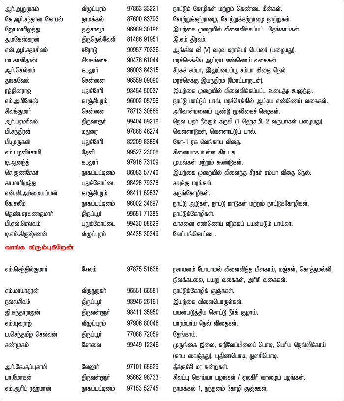 பசுமை சந்தை
