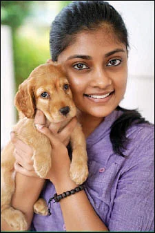 மிஸ்டர் மியாவ்