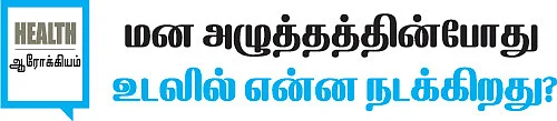 மன அழுத்தத்தின்போது உடலில் என்ன நடக்கிறது?