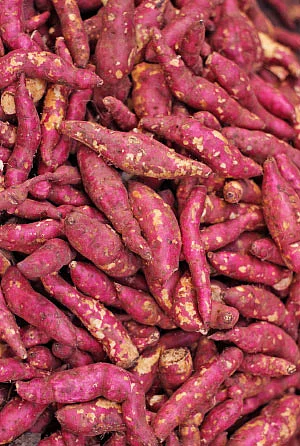இயற்கை டாக்டர்