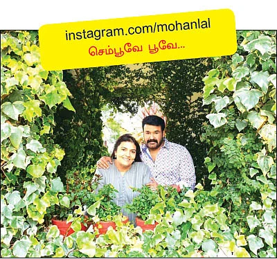 வலைபாயுதே