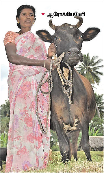 அவள் கிளாஸிக்ஸ்: பால் போல் பொங்கிய வாழ்க்கை! கந்துவட்டியை விரட்டிய `களஞ்சியம்’