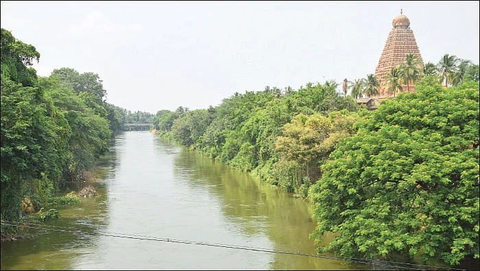 சீரழிந்த நீர் மேலாண்மை... வாடும் காவிரி டெல்டா!