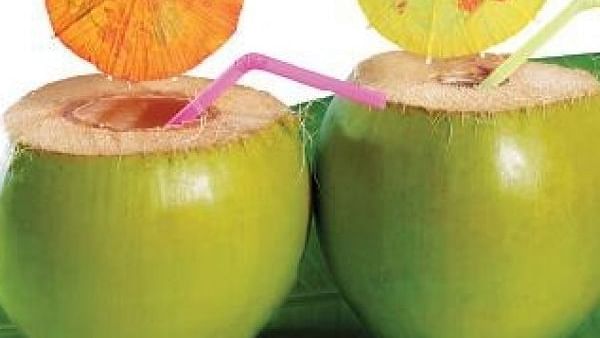 Tender Coconuts protect from summer heat