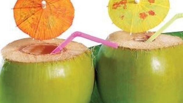 Tender Coconuts protect from summer heat