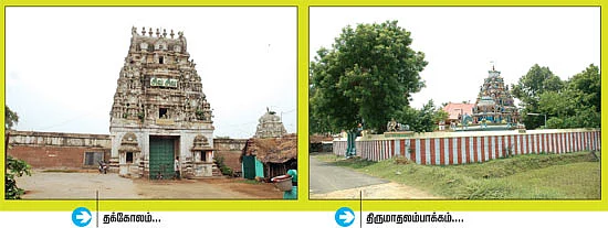 அழகு... அற்புதம்... ஆண்டவன் தரிசனம்!