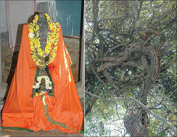 சித்திரம் சிற்பமாகும் அதிசயம்!