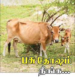 பிட்ஸ்!
