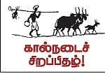 கலக்கும் கறியாடு வளர்ப்பு..!