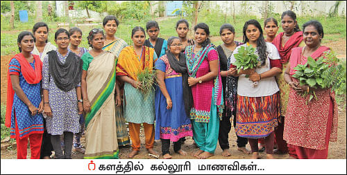 20 சென்ட் வாரம் ரூ 8 ஆயிரம்... - தொடர் வருமானம் கொடுக்கும் கீரைச் சாகுபடி!