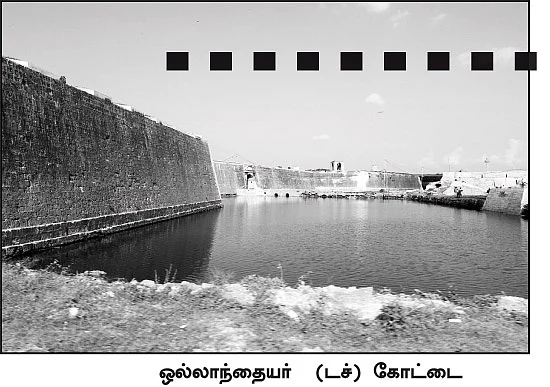 புலித்தடம் தேடி...