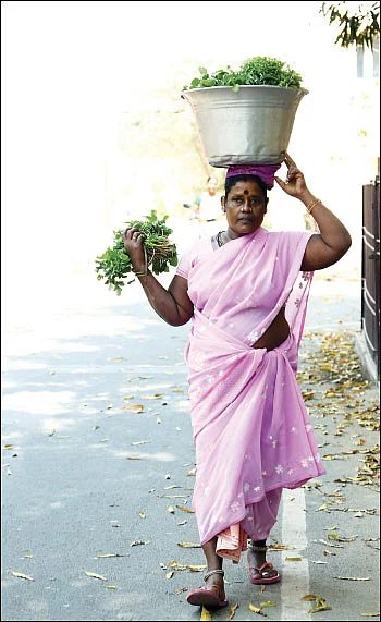 விற்காமல் மிஞ்சும் கீரை... விடிவுகாலம் இல்லாத வாழ்க்கை! - கன்னியம்மா