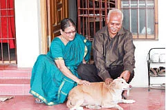 அதிகரிக்கும் ஓய்வுக்கால செலவுகள்...