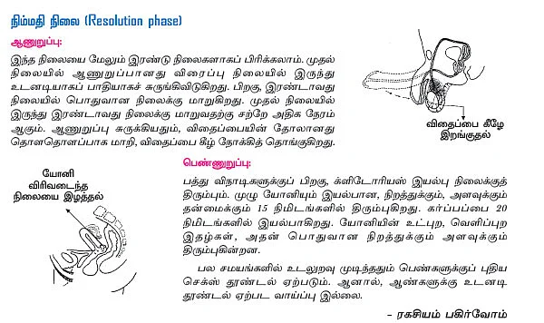 அந்தப்புரம் - 17