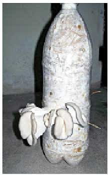 நீங்கள் கேட்டவை
