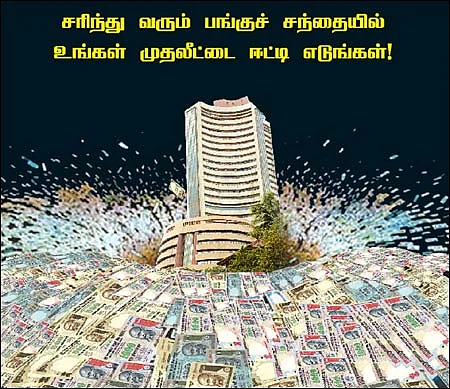கரடி ராஜ்ஜியம்? கலங்க வேண்டாம்!