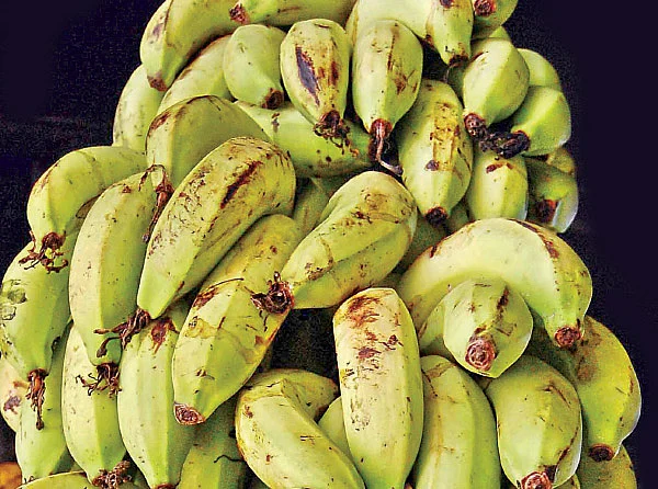 பூ, காய், கனி, தண்டு அத்தனையும் சத்து! வாழை ஸ்பெஷல்
