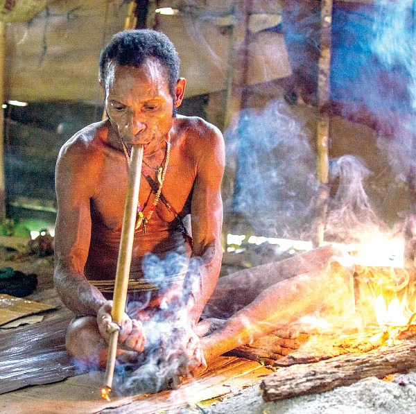 மருத்துவம் நலமா? - நிஜமும் நிழலும் - 15 - களவுபோகும் ஆதிவாசிகள் அறிவியல்!