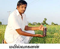 யூரியா தட்டுப்பாடு...