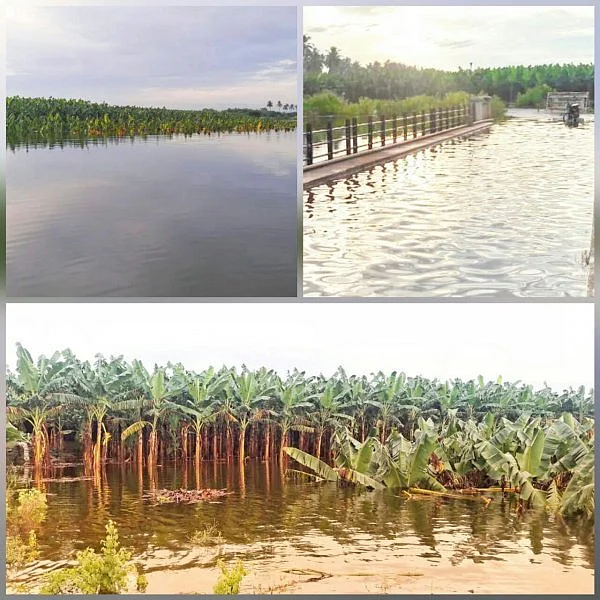 பவானி ஆற்றில் திடீர் வெள்ளம்! - பரிதவிக்கும் நான்கு கிராம மக்கள்