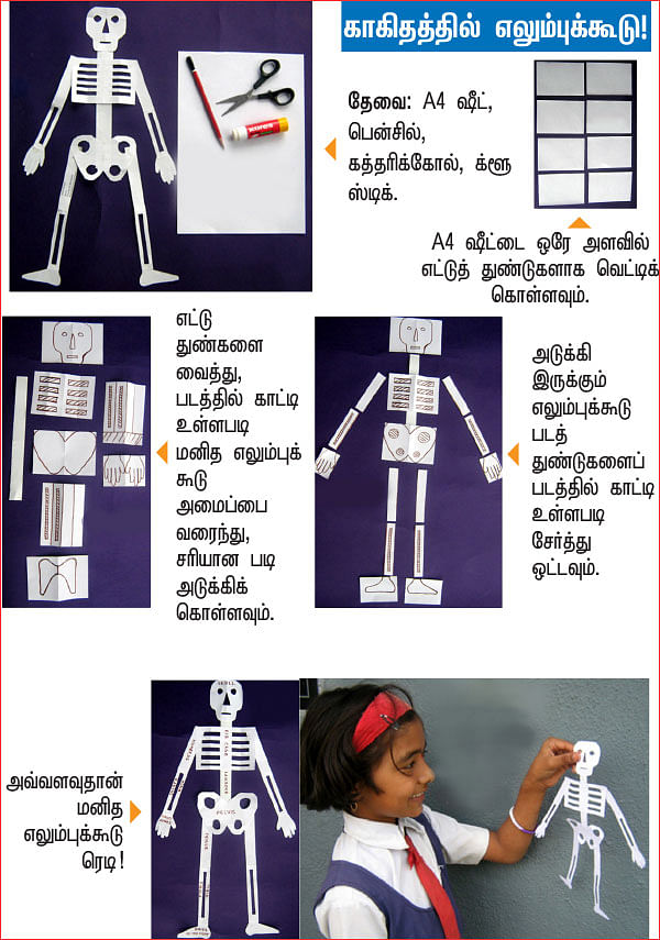 அறிவியல் பழகலாம் வாங்க!