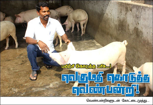 பயிற்சி கொடுத்த பரிசு...!