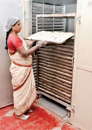 பணம் கொட்டும் தொழில்கள்: உடனடி இடியாப்பம்!